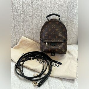 Louis Vuitton Palm Spring Mini Backpack